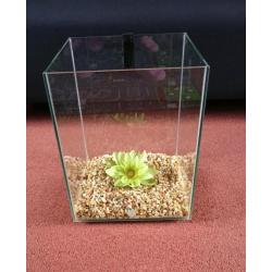 Aquarium Fish Tank. Fluval Chi 19 litres. *EXCELLENT CONDITION*