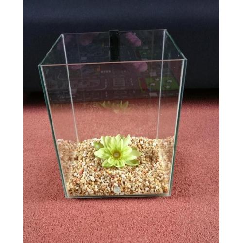 Aquarium Fish Tank. Fluval Chi 19 litres. *EXCELLENT CONDITION*