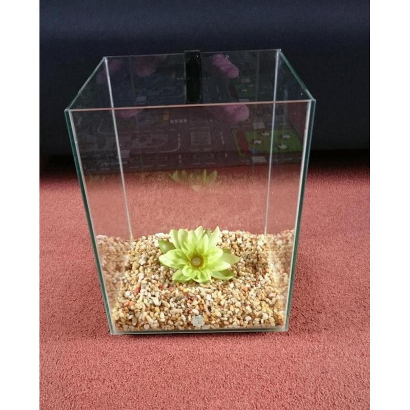 Aquarium Fish Tank. Fluval Chi 19 litres. *EXCELLENT CONDITION*