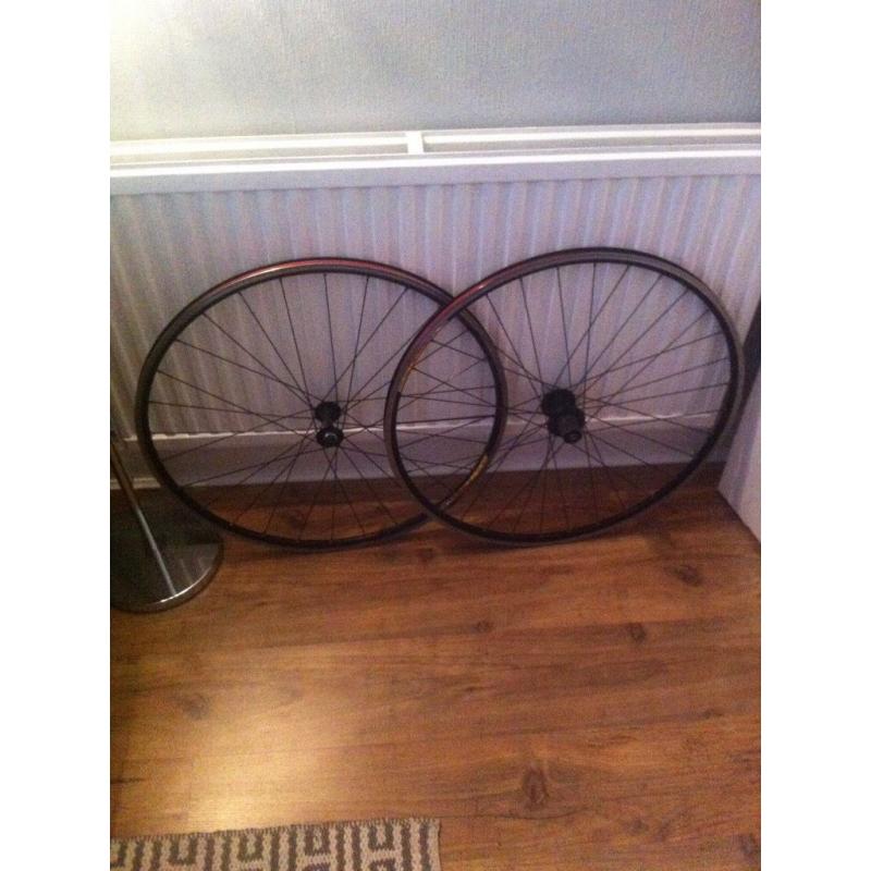 Pair of road bike wheels