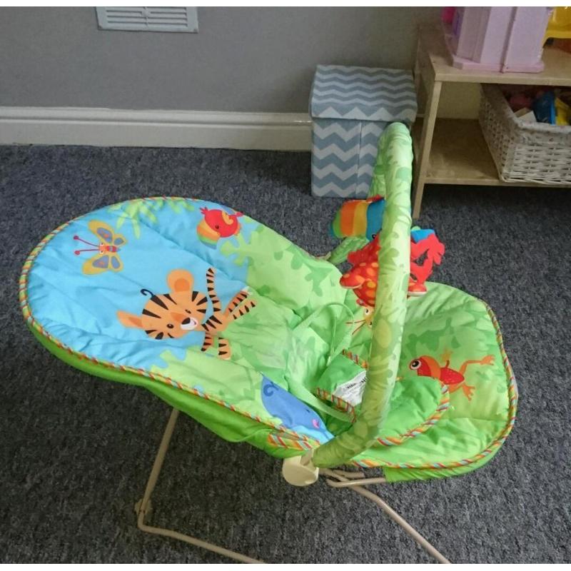 Fisher Price Baby Bouncer