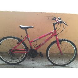 Girls Mountain Bike