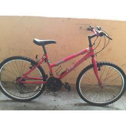 Girls Mountain Bike