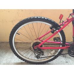 Girls Mountain Bike