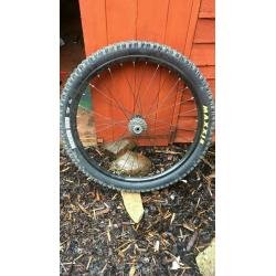 Nukeproof genorator rims on mavic hubs