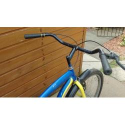American Beach Cruiser bike
