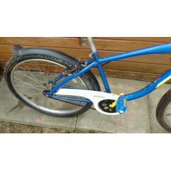 American Beach Cruiser bike