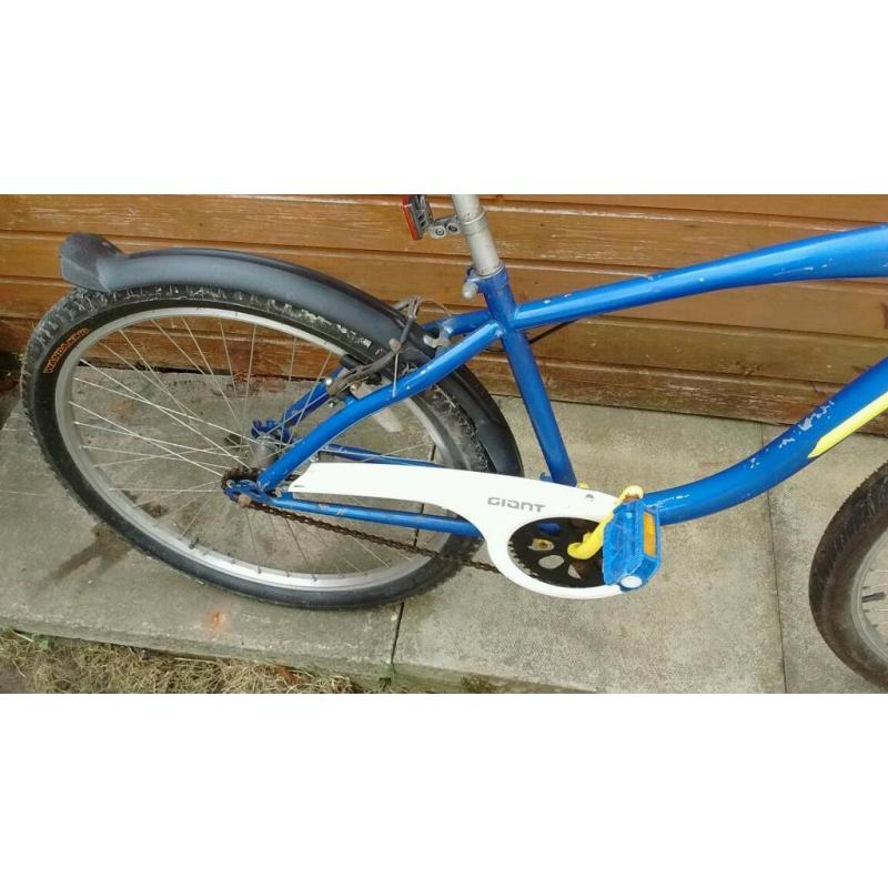 American Beach Cruiser bike
