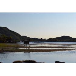 Glencanisp and Drumrunie sporting events