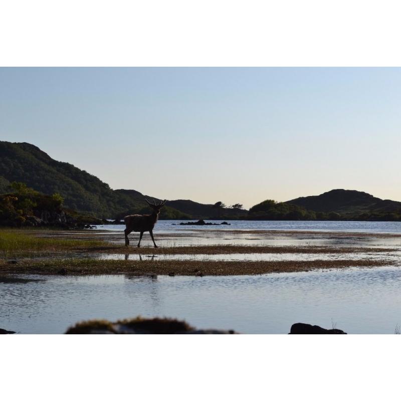 Glencanisp and Drumrunie sporting events