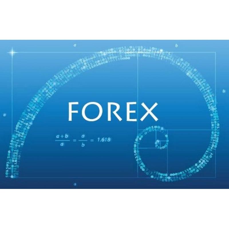 Forex Trading System Pro Market Maker Strategy Limited To 10 People ONLY!!!!