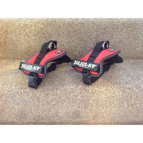 Julius-K9 Powerharnesses Mini x2