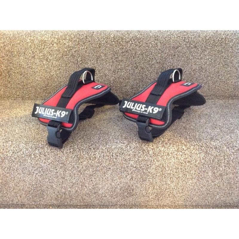 Julius-K9 Powerharnesses Mini x2