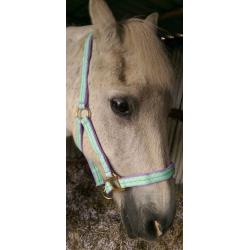 Headcollar and fly mask