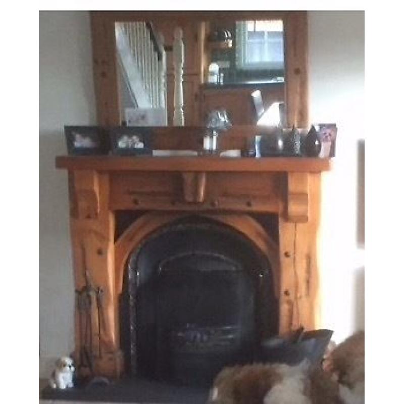 Fireplace surround and insert for sale