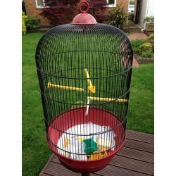 Bird Cage
