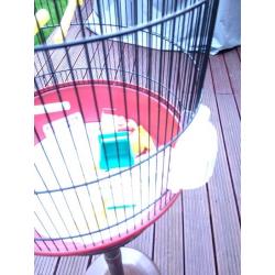 Bird Cage
