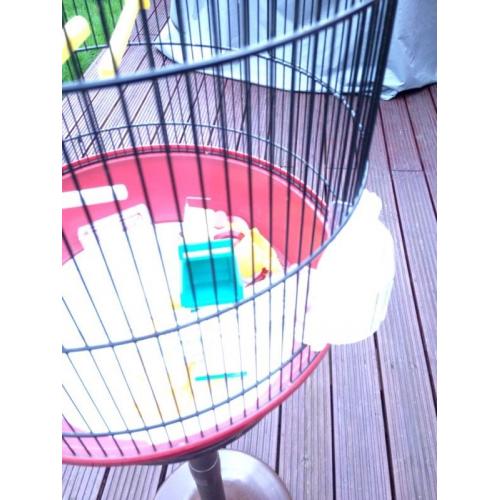 Bird Cage