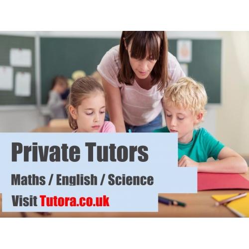 The BEST tutors in St Andrews - Maths/English/Science/Biology/Chemistry/Physics/French/Spanish/GCSE