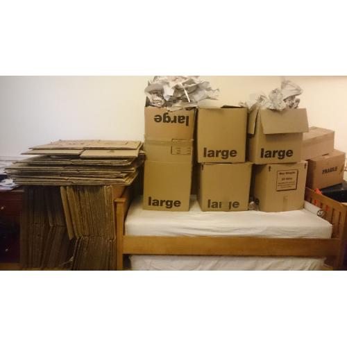 Moving / Packing boxes