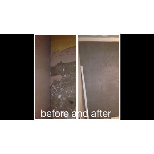 Painter+Decorator and Plasterer