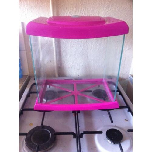 Pink fish tank