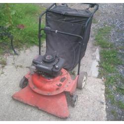 Leaf vacuum cleaner