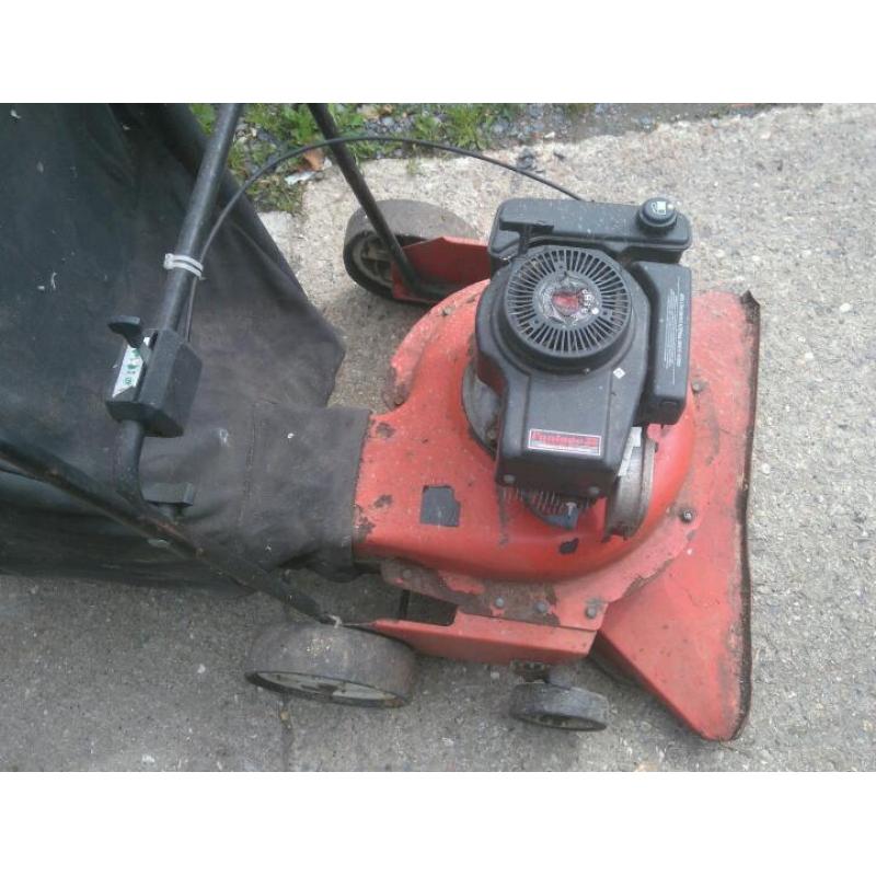 Leaf vacuum cleaner