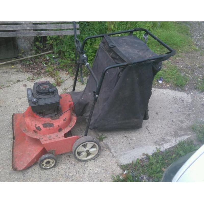 Leaf vacuum cleaner