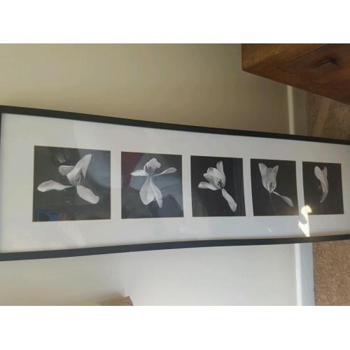 Framed photo