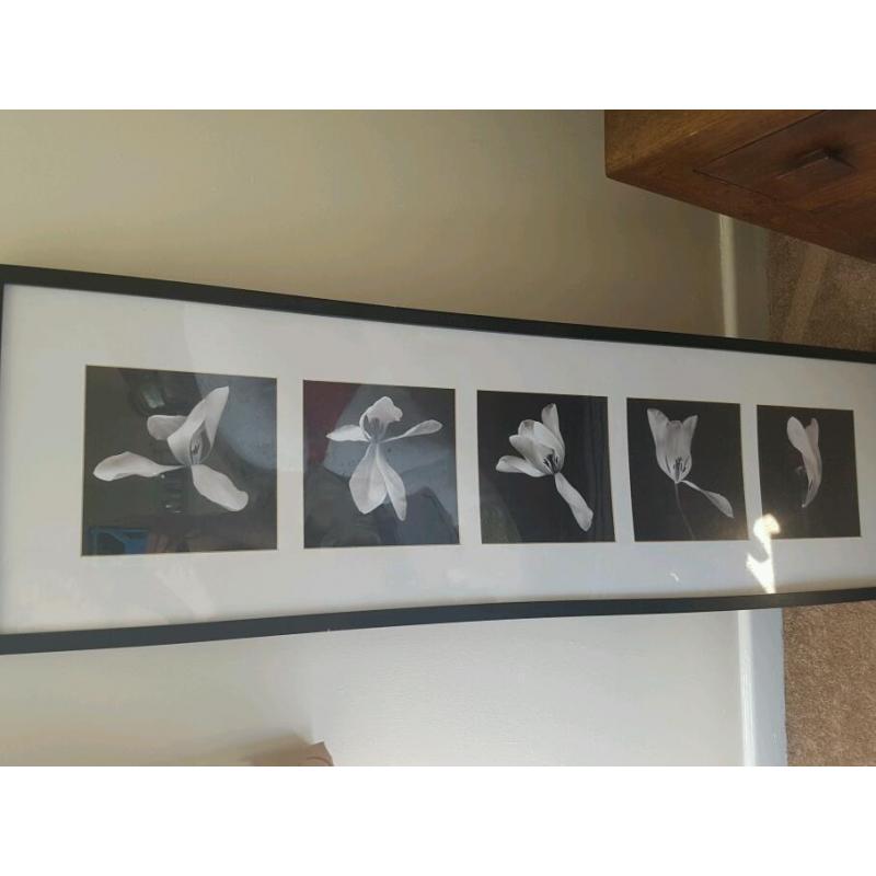 Framed photo