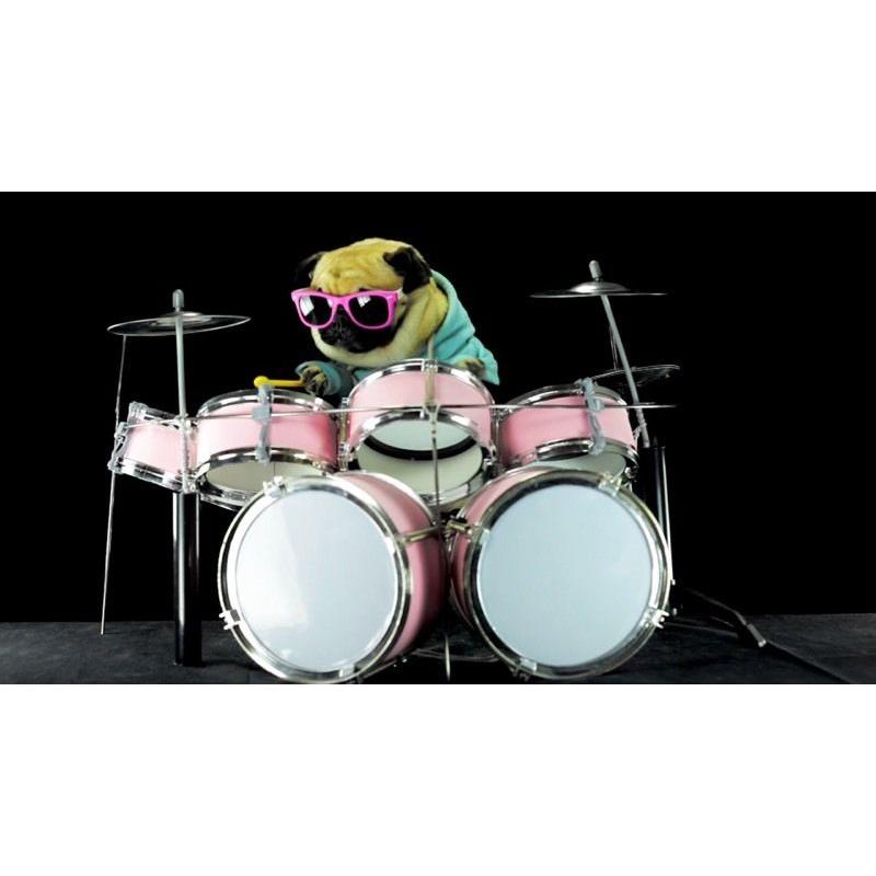 Drummer Wanted For Metal Band - Kent