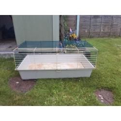 Guinea Pig Indoor Hutch & Accessories incl. food