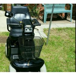Rascal mobility scooter