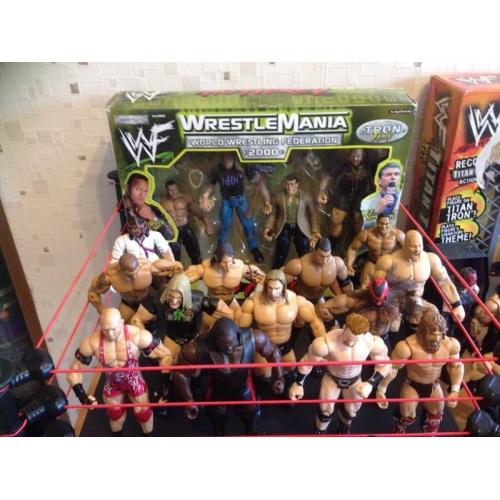 WWE/WWF/WCW wrestling figures plus extras