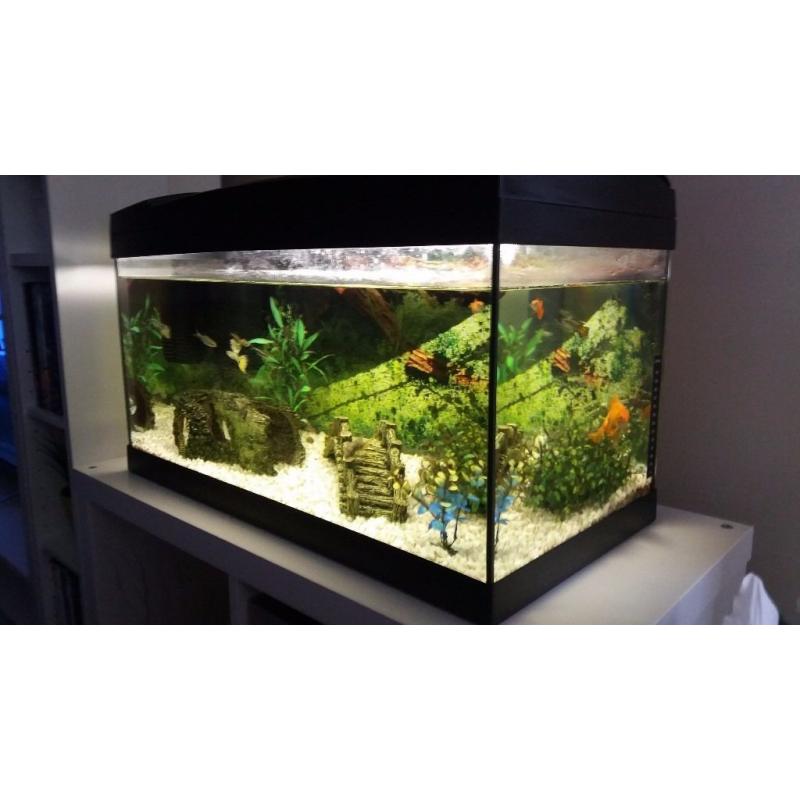 54litre marina premier fishtank