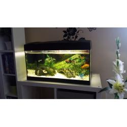 54litre marina premier fishtank