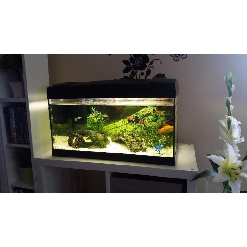 54litre marina premier fishtank