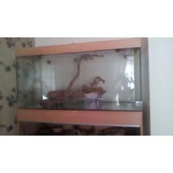 Glass viv
