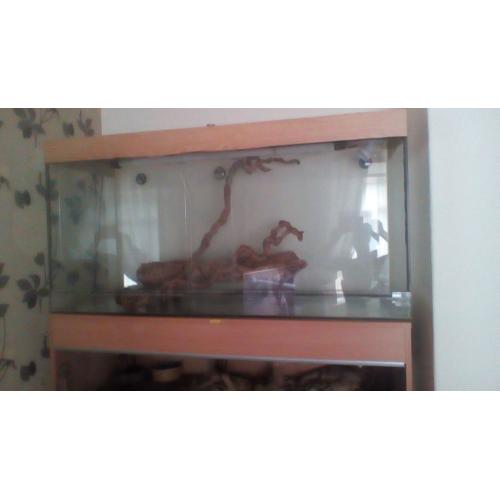 Glass viv