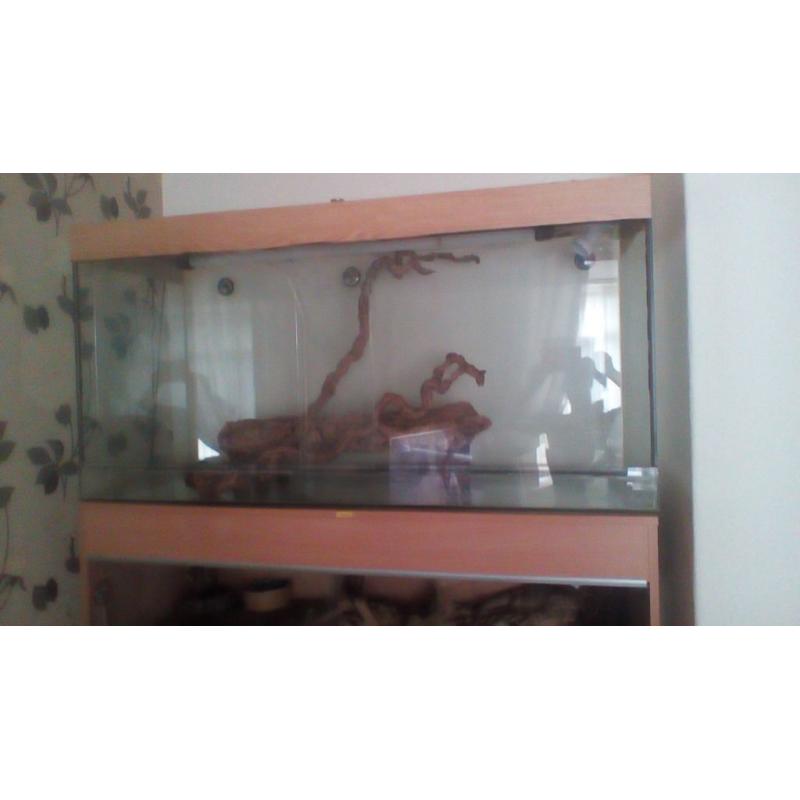 Glass viv