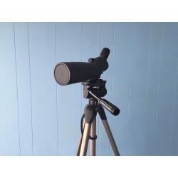 Telescope 1 year old