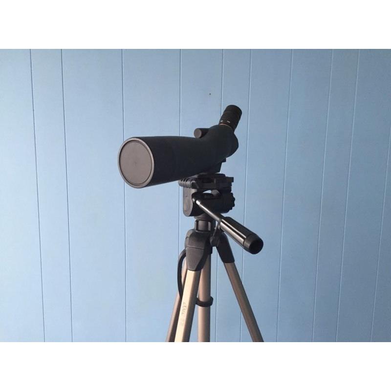 Telescope 1 year old
