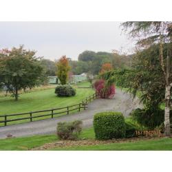 A willerby Granada static caravan for sale in theart of Mid-Wales...