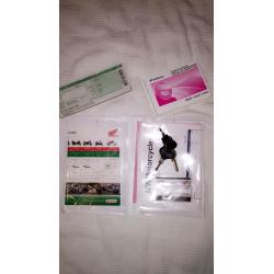 Honda Dylan SeS 125 **needs new front plastics**
