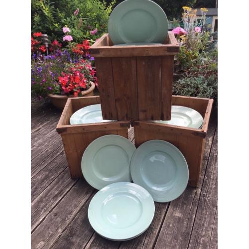 97 Dinner Plates