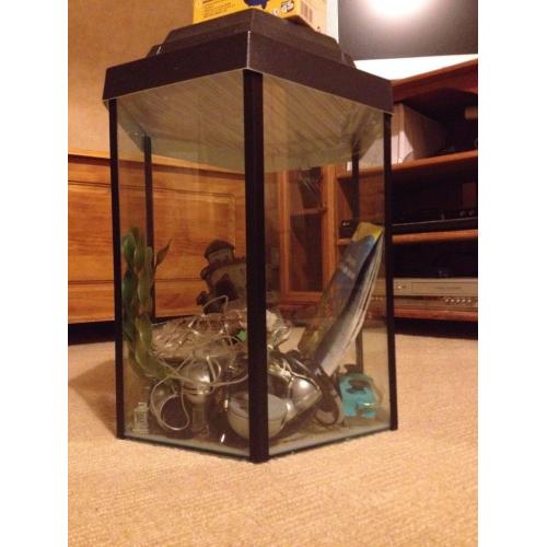 Hexagonal fish tank