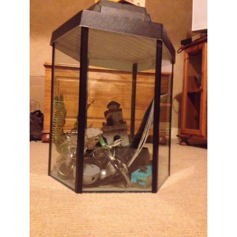 Hexagonal fish tank
