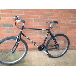 Saracen sports mountain bike