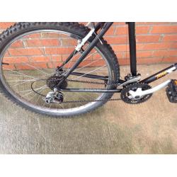 Saracen sports mountain bike
